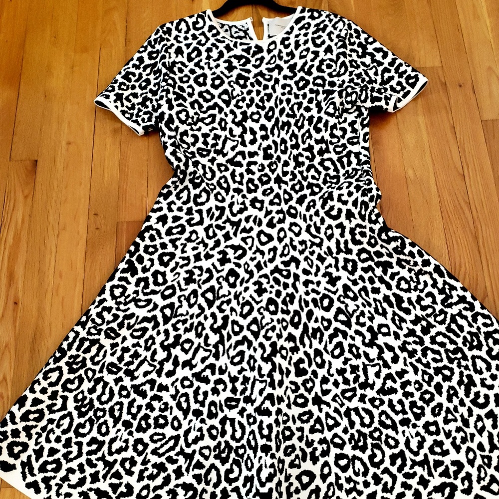 Cheetah Print Midi Dress